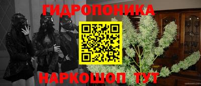 бошки Пугачёв