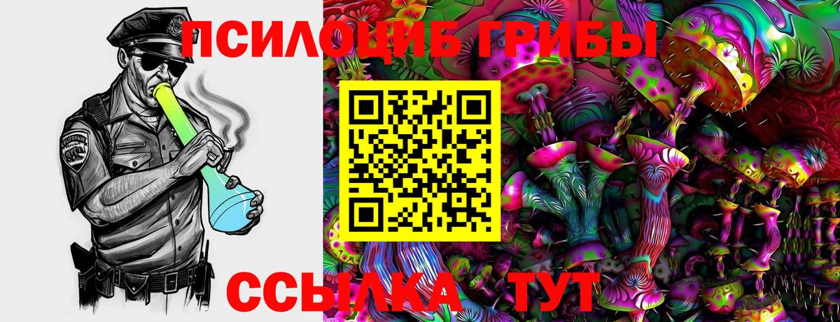 Галлюциногенные грибы прущие грибы  Вход с VPN  Сегежа 
